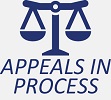 Appeals in Process